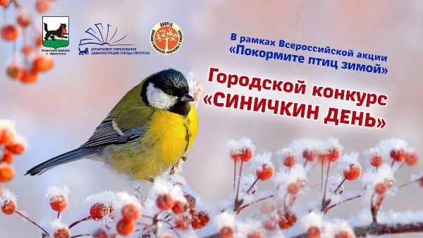 Экологический праздник «Синичкин день» прошел в Иркутске 12 ноября